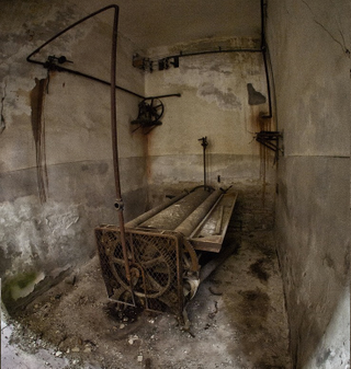 Illustration for article titled The Creepy World of Abandoned Asylums
